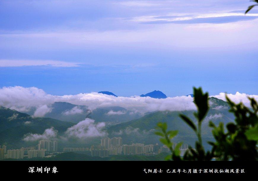 {{问答文章1}}游戏画面
